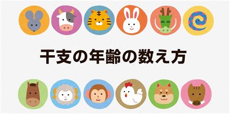 2025年 巳年|【2025年】今年の干支は巳 (へび)！干支の順番の由。